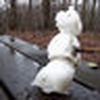 Profile Picture of Mark Yeager (@uncle mark) on Flickr