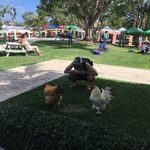 Profile Picture of Jared Hilton (@jared.hilton.10) on Instagram