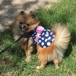 Profile Picture of Cleo_Laveau_Abbott-Warren (@cleo_20192) on Instagram