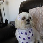 Profile Picture of June McClure (@junemcclure9797) on Instagram