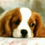 Profile Picture of Digna milagros fernandez ramos (@dignamilagrosfernandezramos) on Instagram