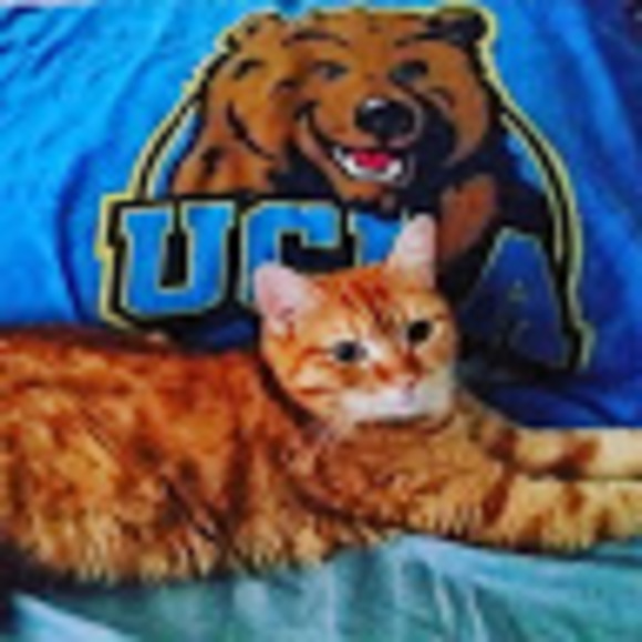 Profile Picture of Milo Buggy (@uclatwitchcat) on Poshmark