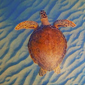 Profile Picture of Steve Rossman (@steverossman2688) on Youtube