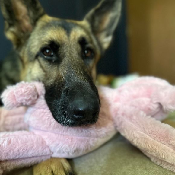 Profile Picture of Mason Hansen (@masonhansen449) on Poshmark