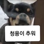 Profile Picture of 업로드 당분간 하지 않습니다.🔥🔥🔥 (@sagi_cheeu4) on Instagram