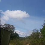 Profile Picture of Michaela Adams ♐ (@thepure1chae) on Instagram