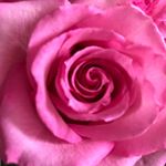 Profile Picture of Cindy McMaster (@mcmaster9299) on Instagram