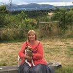 Profile Picture of Joy Gibson (@crotchet1234) on Instagram