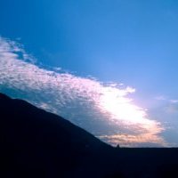 Profile Picture of Florence Lai (@FlorenceLai5) on Twitter