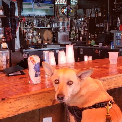 Profile Picture of Jim Kurek (@jkurek1) on Twitter