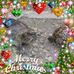 Profile Picture of Nancy Kuebler (@nancy.kuebler) on Facebook