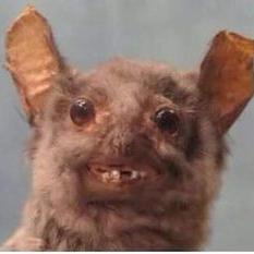 Profile Picture of Jake Toomey (@yamothasAsss) on Twitter