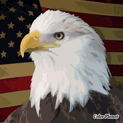 Profile Picture of Jim Aiello (@JimAiello1) on Twitter