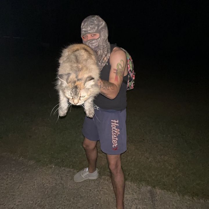 Profile Picture of Erik (@_erik.green) on Tiktok