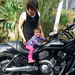 Profile Picture of Robert Le Vavasour (@robertlevavasour) on Instagram