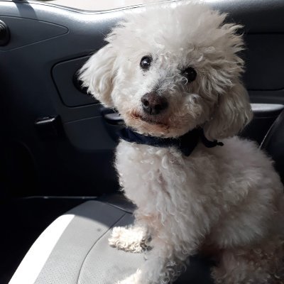 Profile Picture of Guillermo Lasso (@Guillermolass12) on Twitter