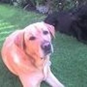 Catherine Nevin - Myspace Profile Picture of Catherine Nevin (@341141645) on Myspace