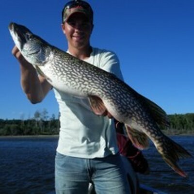 Profile Picture of Thomas Madsen (@Tcmadsen) on Twitter