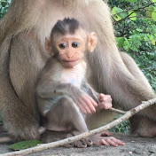 Profile Picture of James Dora (@jamesdora1187) on Youtube