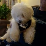 Profile Picture of Ian Latimer (@daheed609) on Instagram
