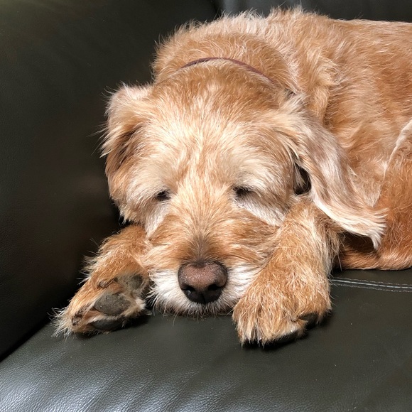 Sophie Penney - Poshmark Profile Picture of Sophie Penney (@sophapenn) on Poshmark