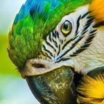 Profile Picture of minoo azizi (@minoo_701) on Instagram