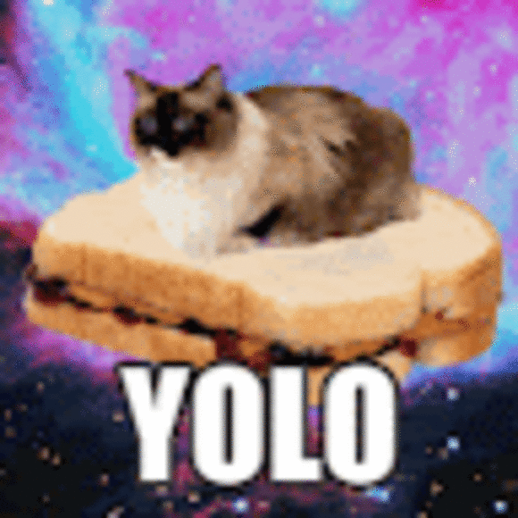 Profile Picture of Gabriella Catino (@g_catino) on Poshmark