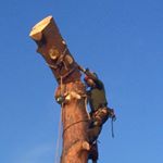 Profile Picture of Luke O'sullivan (@arboristluke) on Instagram