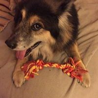 Profile Picture of David Metcalf (@david-metcalf-21) on Quora