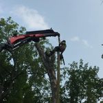 Scott Angus Robert Garden - Instagram Profile Picture of Scott Angus Robert Garden (@scottyarg) on Instagram