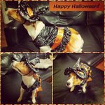 Profile Picture of David Bazzano (@davidbazzano) on Instagram