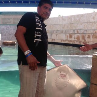 Profile Picture of Martin Mauricio (@martin.mauricio.1800) on Facebook