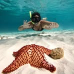 Profile Picture of Arshard Jones (@arshard.jones) on Facebook