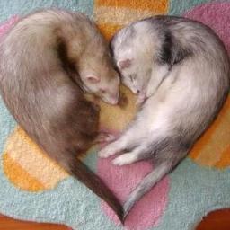 Profile Picture of Jonathan Quimby (@Terria113) on Twitter