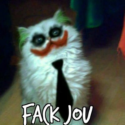 Profile Picture of Mike Hiemstra (@HiemstraMike) on Twitter