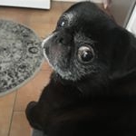 Profile Picture of Ms. Cleo (@cleo_pitre) on Instagram