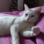 suerevis - Instagram Profile Picture of suerevis (@suelilly2018) on Instagram