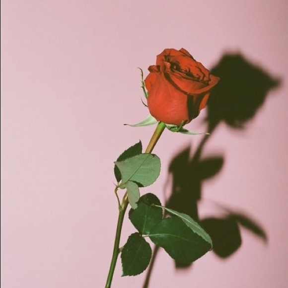 Profile Picture of Antoinette Beecher (@a12b50) on Poshmark