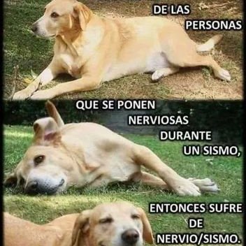 Delmy De Serrano - Twitter Profile Picture of Delmy De Serrano (@delmy_serrano) on Twitter