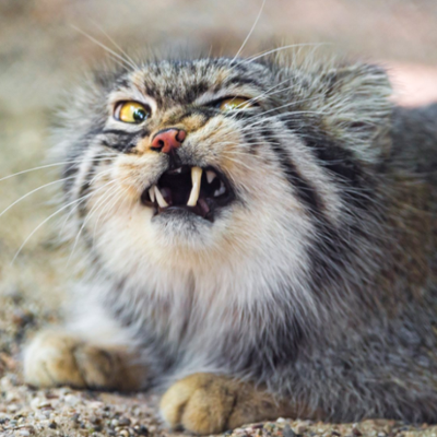 Profile Picture of Kate Bevan (@katebevan) on Twitter