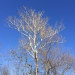 Profile Picture of Nicholas Dabney (@nicky3612) on Instagram