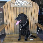 Profile Picture of John Dockstader (@john.dockstader1) on Facebook