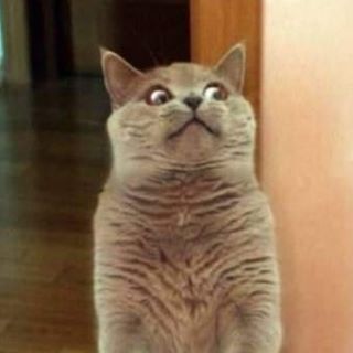 Profile Picture of Alvin Chai (@alvin.chai.351) on Facebook