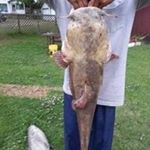 Profile Picture of Julian Brewer (@julianbrewer1977) on Instagram