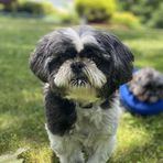 Craig DeLeone - Facebook Profile Picture of Craig DeLeone (@Craig-DeLeone) on Facebook