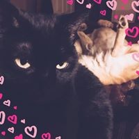 Profile Picture of Kelly Elliott (@kelly-elliott-34) on Quora