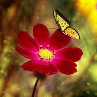 Profile Picture of Rocio Jordan (@rjordan353) on Twitter