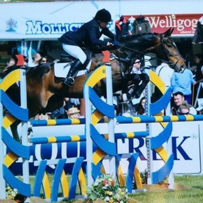 Profile Picture of Sue Chadwick (@suechadwick63) on Twitter