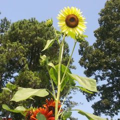 Profile Picture of Brian Yahn (@brianyahn0) on Tiktok