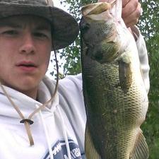 Profile Picture of Tom Rech (@tomchubborech) on Twitter